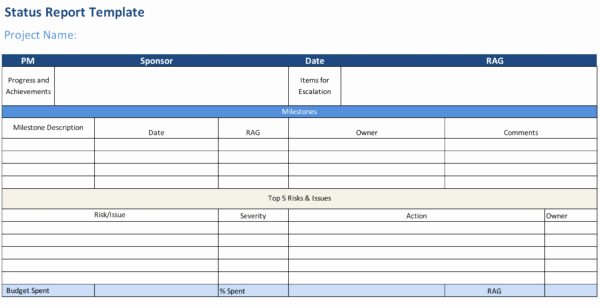 Weekly Project Status Report Template Excel Elegant Status Report Template Projectmanager