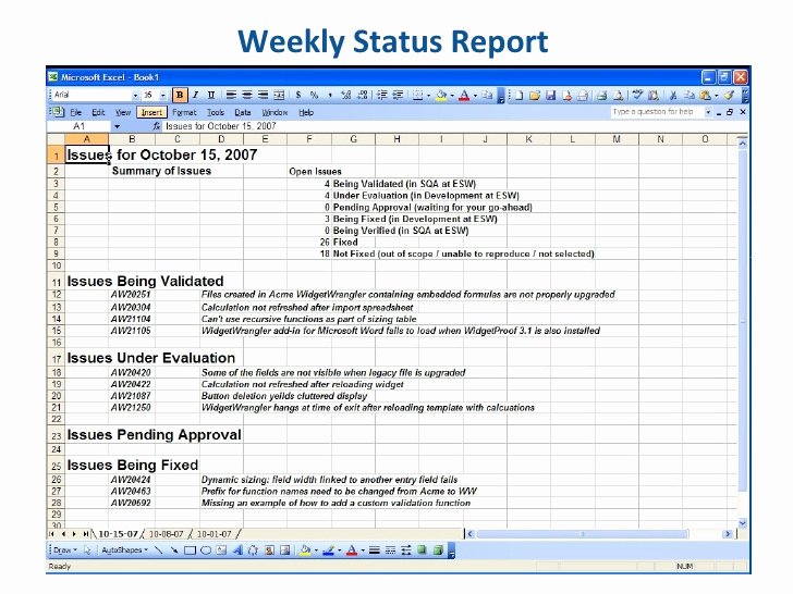 Weekly Project Status Report Template Excel Unique Essential software Inc Weekly Status Report