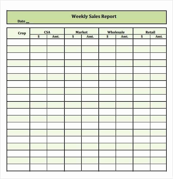 Weekly Sales Report Template Fresh 6 Free Sales Report Templates Excel Pdf formats