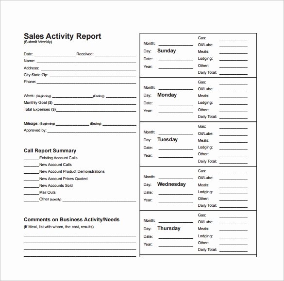Weekly Sales Report Template Luxury 13 Sales Report Templates