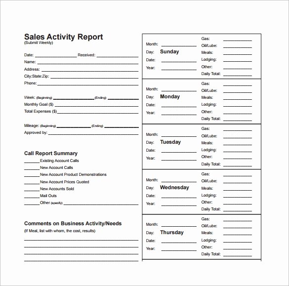 Weekly Sales Report Template Luxury 13 Sales Report Templates