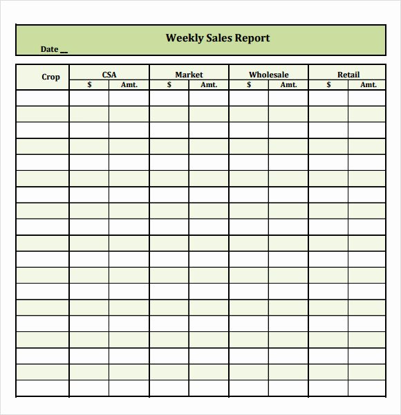 Weekly Sales Report Template Luxury Sample Sales Report 16 Example format