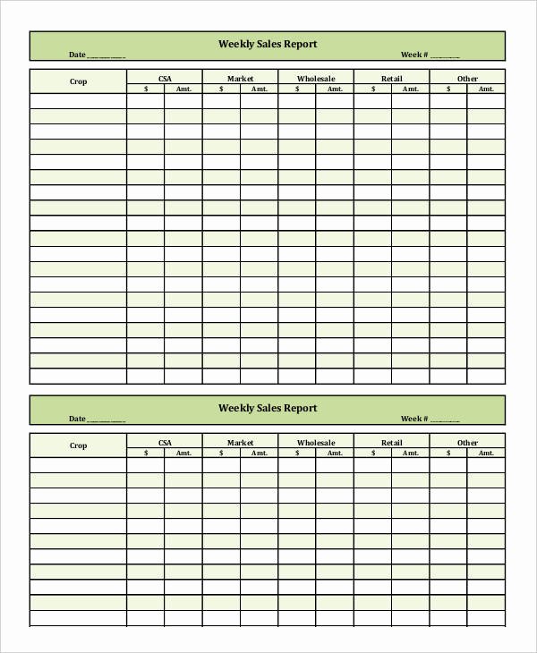 Weekly Sales Report Template New 20 Sales Report Templates