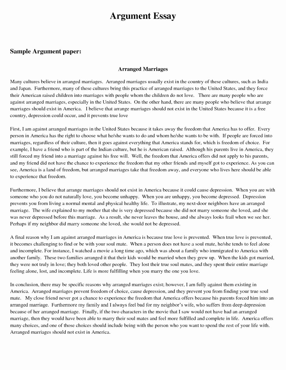 Well Written Essays Examples Awesome 18 Debate Report Writing Examples Pdf