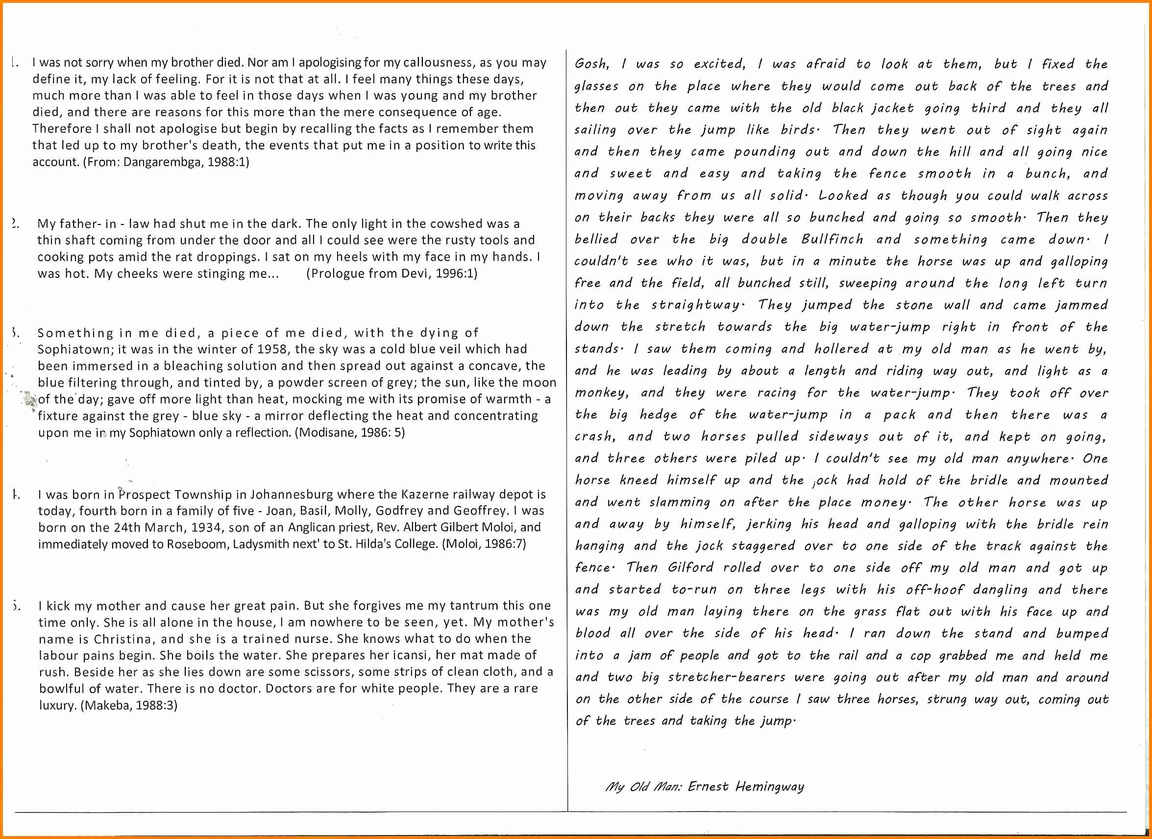 Well Written Essays Examples New 5 Example Of A Well Written Essay