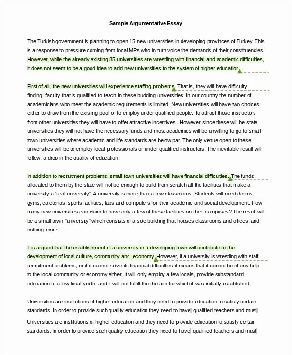 Well Written Essays Examples Unique Good Example Argumentative Essays