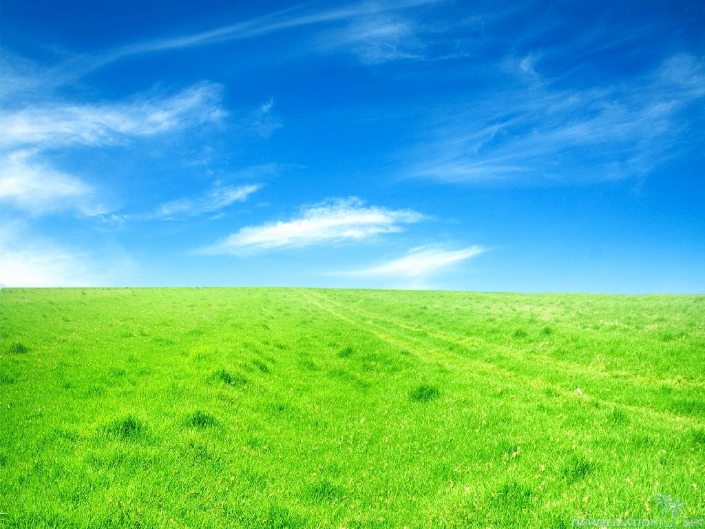 What is the Definition Of Impressive Unique Grassland Wallpapers Wallpapersafari