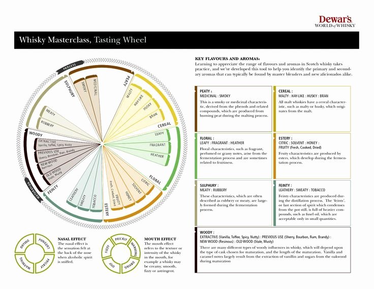 Wine Tasting Journal Template Inspirational Tasting Notes