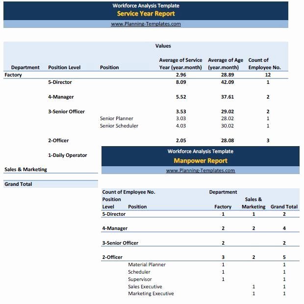Workforce Planning Template Excel Luxury Workforce Analysis Report In Excel Spreadsheet Manpower