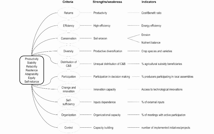 Writing About My Personal Strengths Elegant Fig 3 Deriving Indicators Through the Mesmis Framework