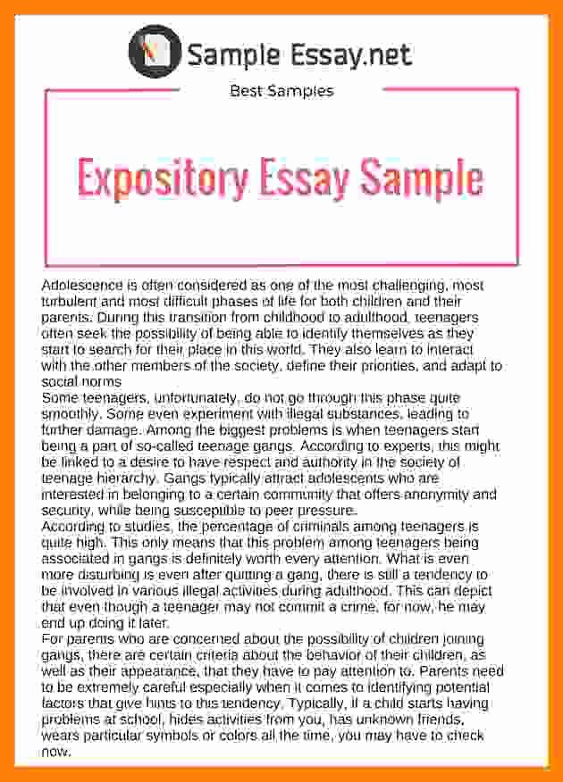 Writing Good Hooks Worksheet New 8 Expository Essay Template