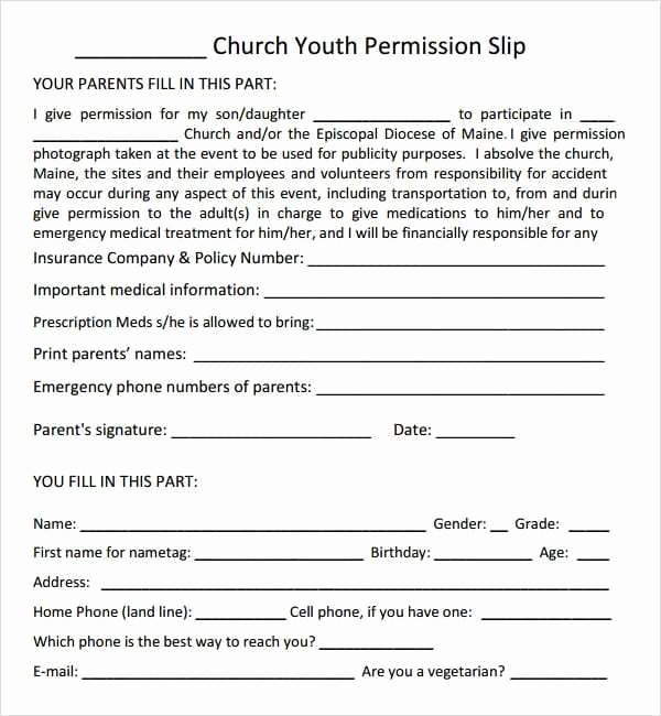 Youth Group Permission Slips Elegant 11 Permission Slip Templates Word Excel Pdf formats