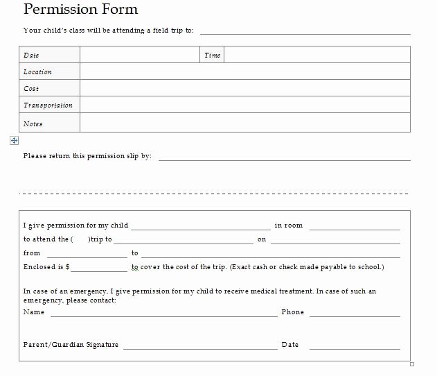 Youth Group Permission Slips Elegant Permission Slip Templates 8 Free Samples Template Section