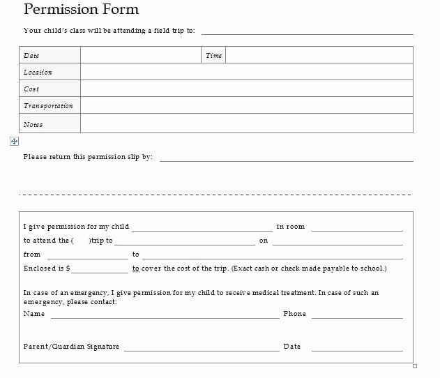 youth-permission-slip-template