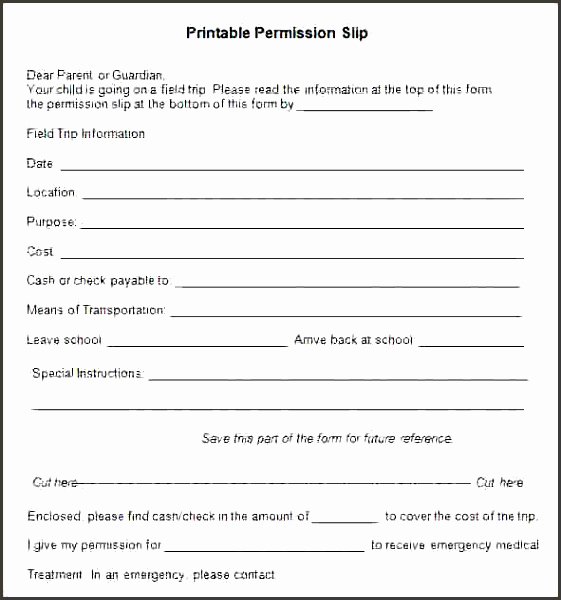 Youth Group Permission Slips Fresh 8 Permission Slip Example Sampletemplatess